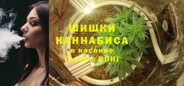 ГАЛЛЮЦИНОГЕННЫЕ ГРИБЫ Беломорск